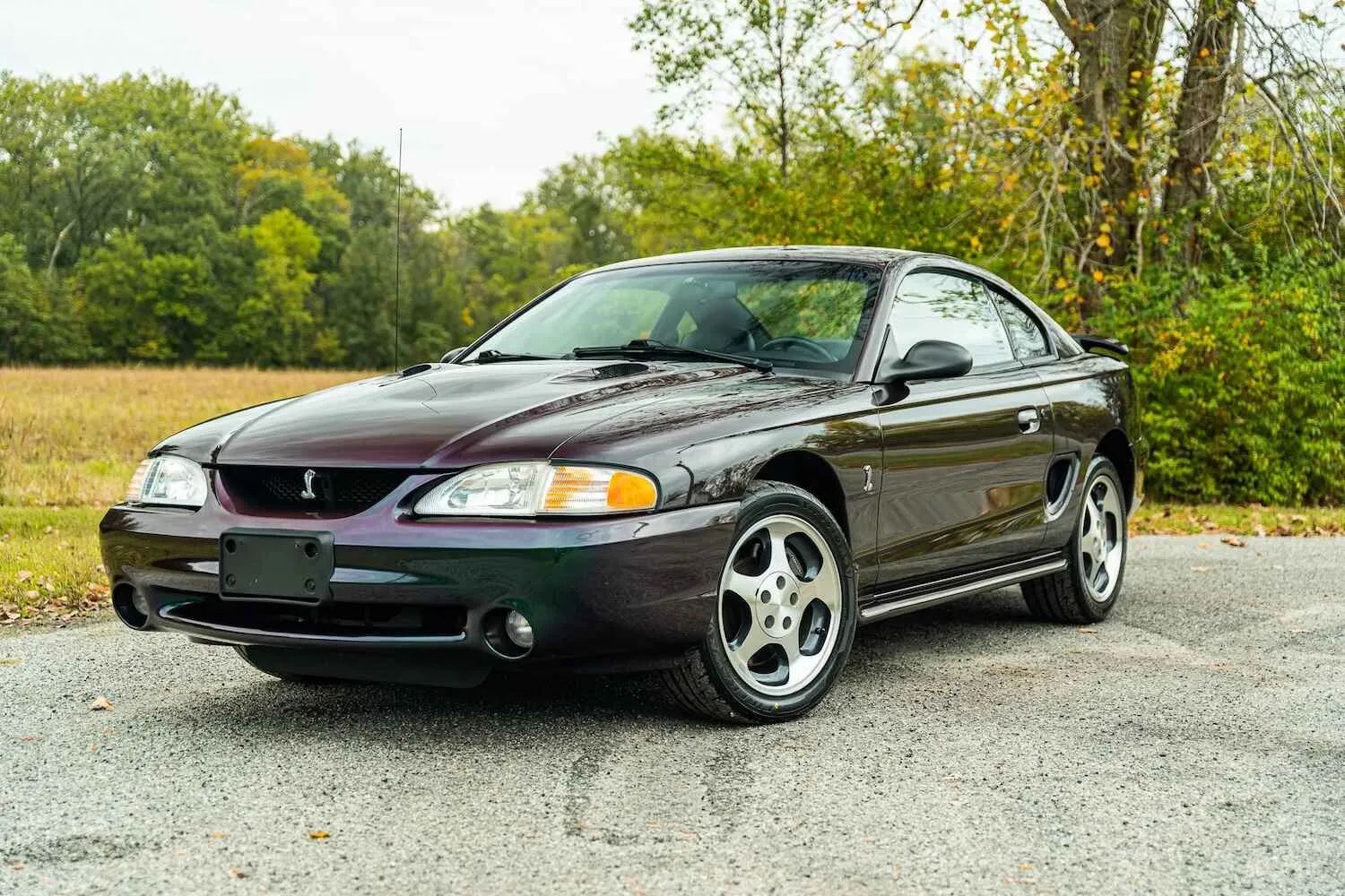 Ford Mustang SVT Cobra