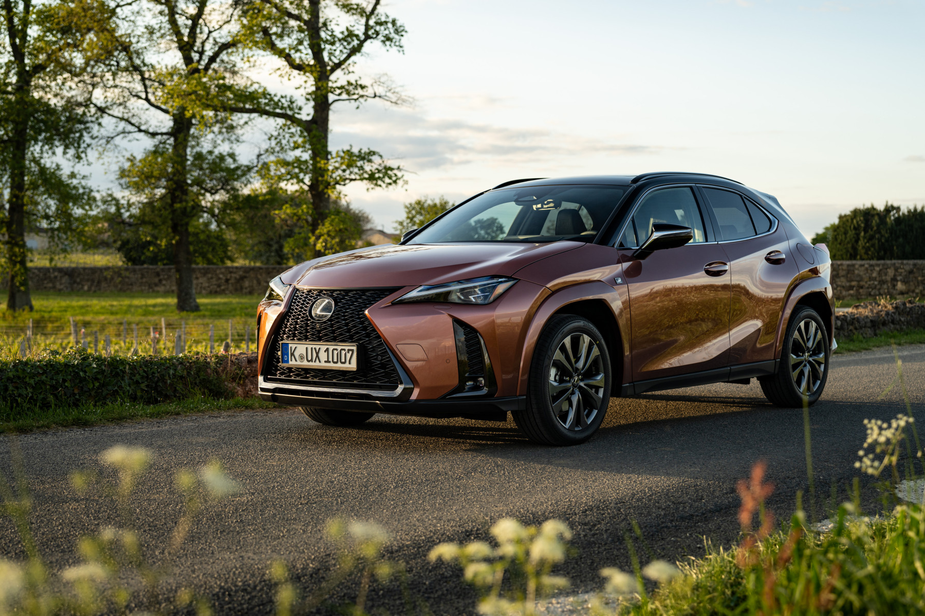 Lexus UX 300h