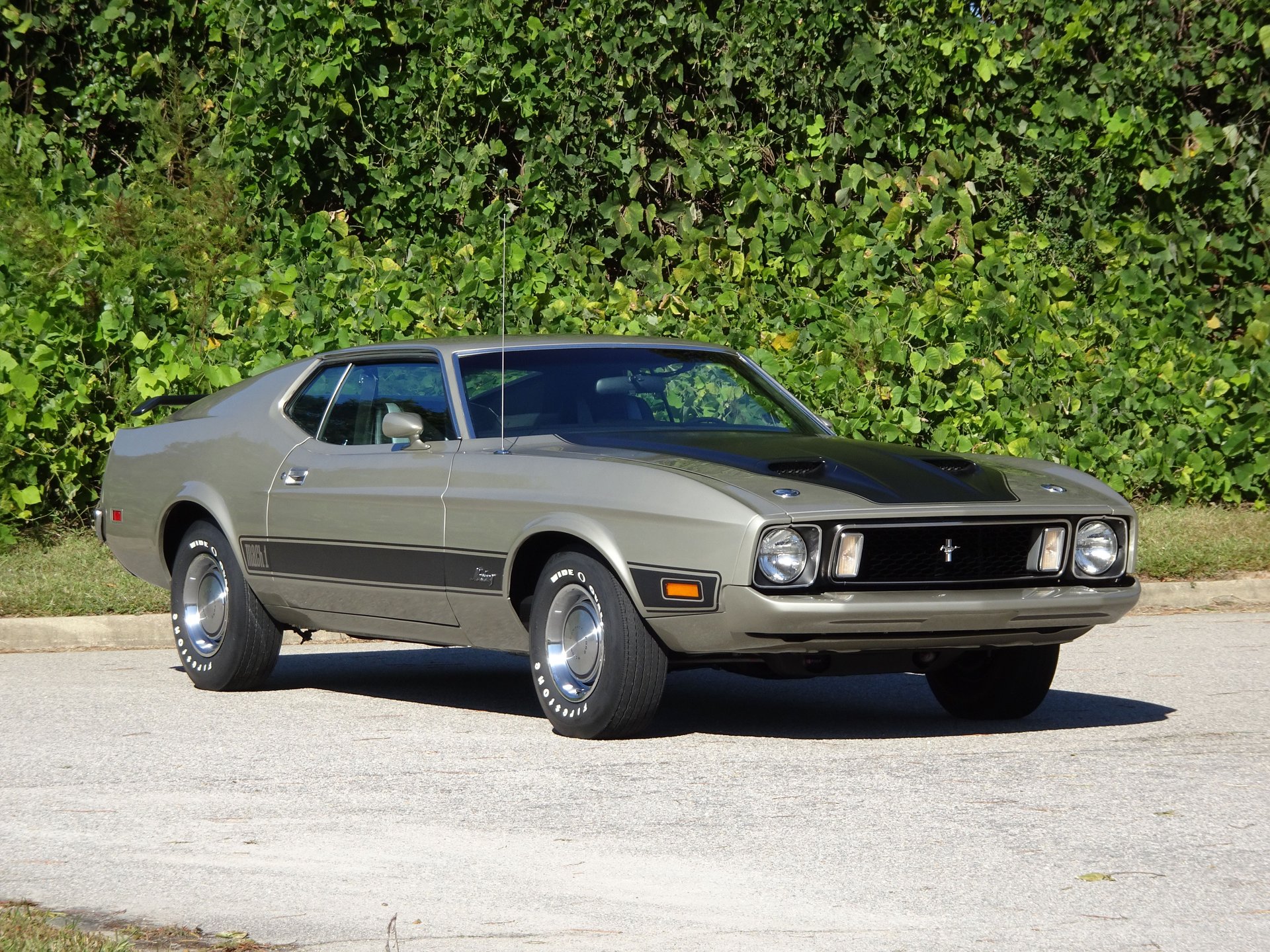 1973 ford mustang mach 1