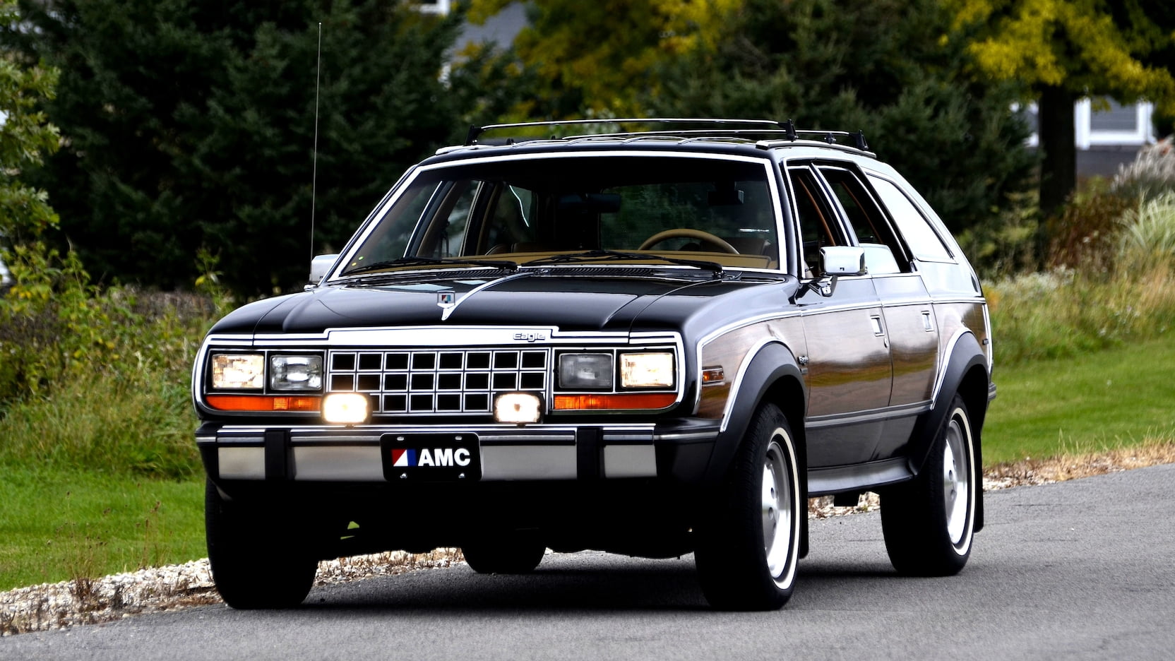 AMC Eagle