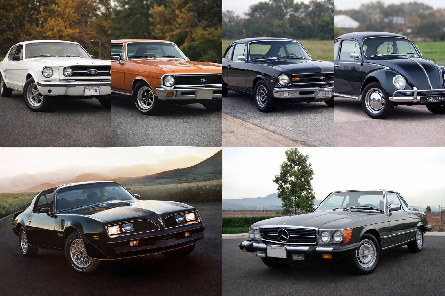 Classic Car Collection