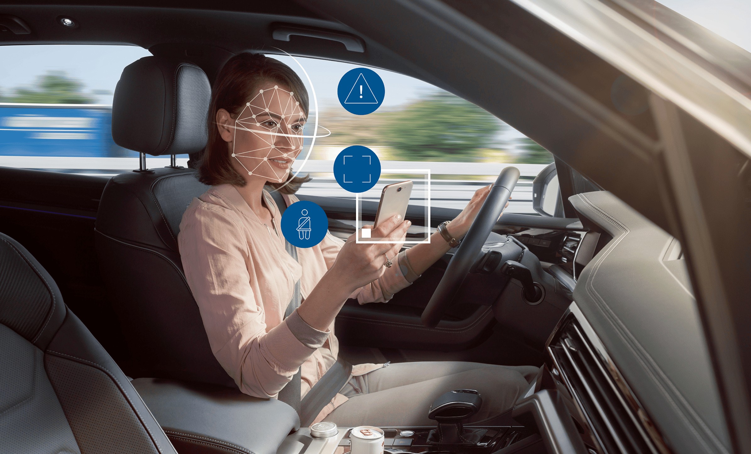 In Cabin Cameras and Driver Monitoring Systems