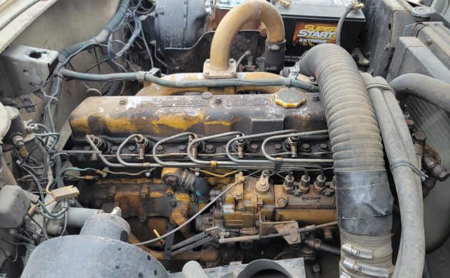 Nissan SD33 (1975–1990s)