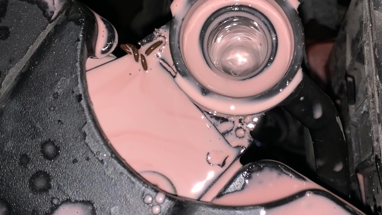 Preventing “Strawberry Milkshake” Failure Preventing “Strawberry Milkshake” Failure