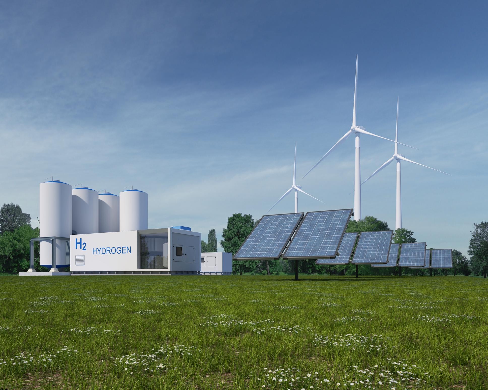 Rapidly Expanding Government Support and Policy Frameworks