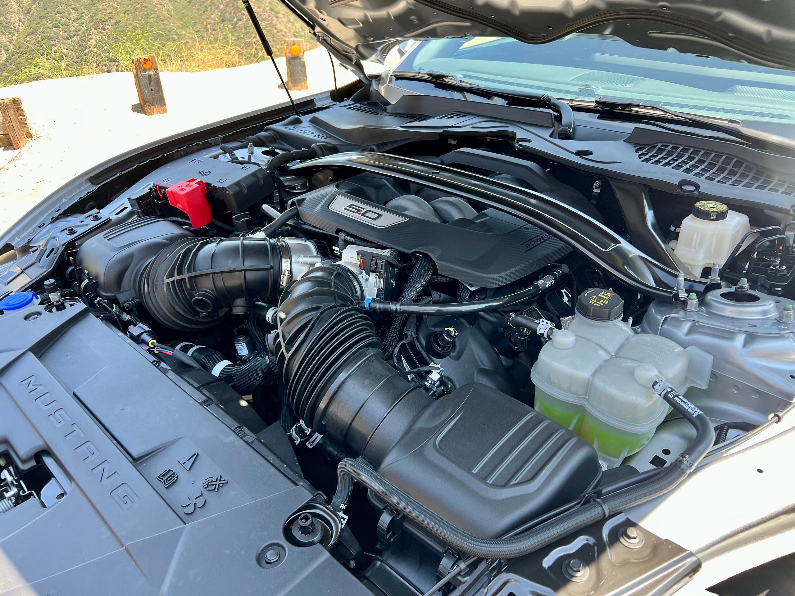 5.0L V8 engine found in a 2024 Ford Mustang