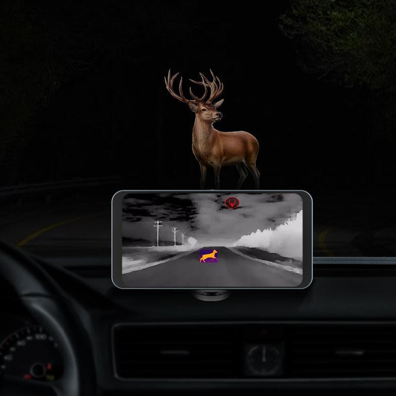 Animal Detection and Collision Warning