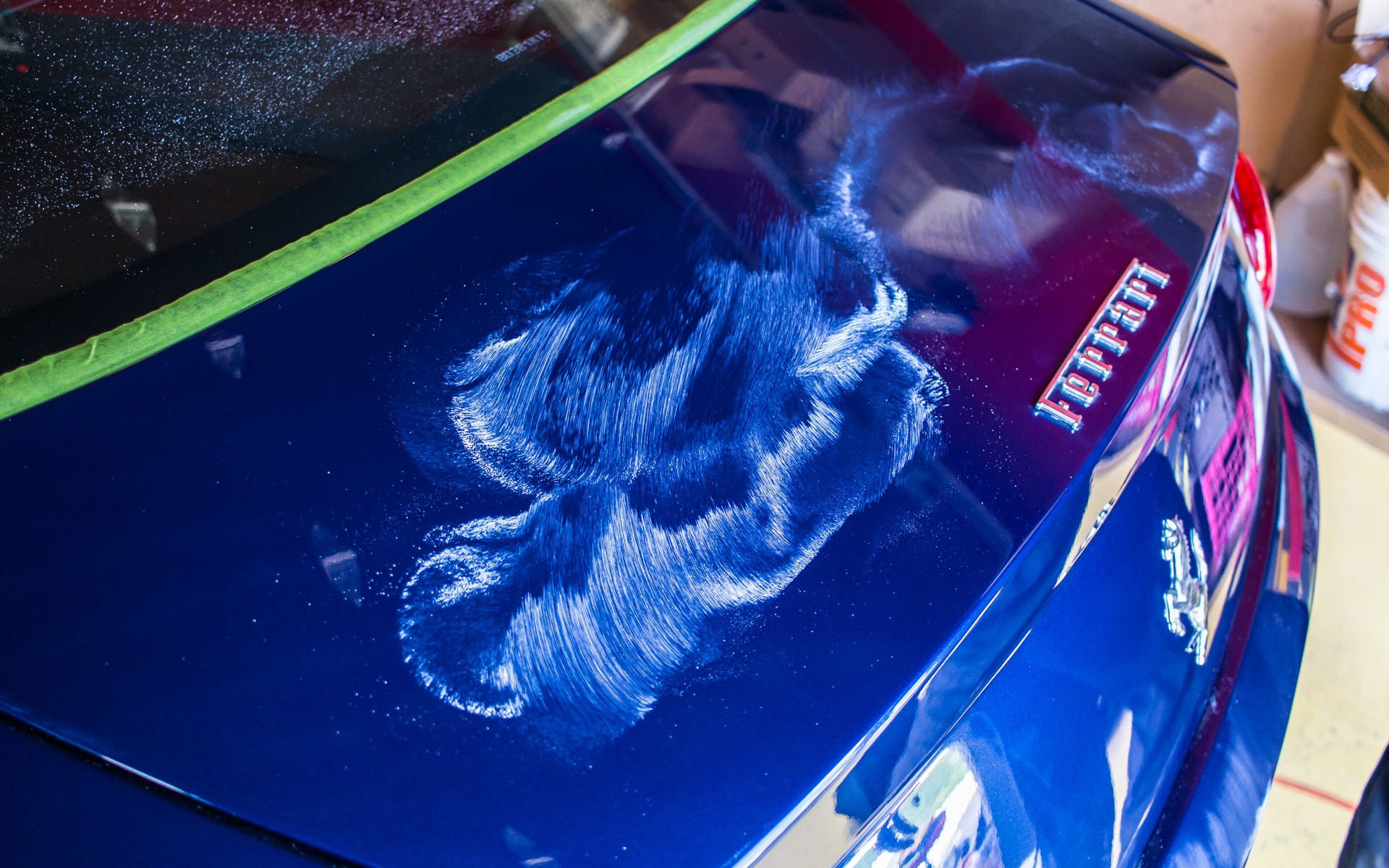 Apply Wax or Sealant Seasonally for Long Lasting Paint Protection