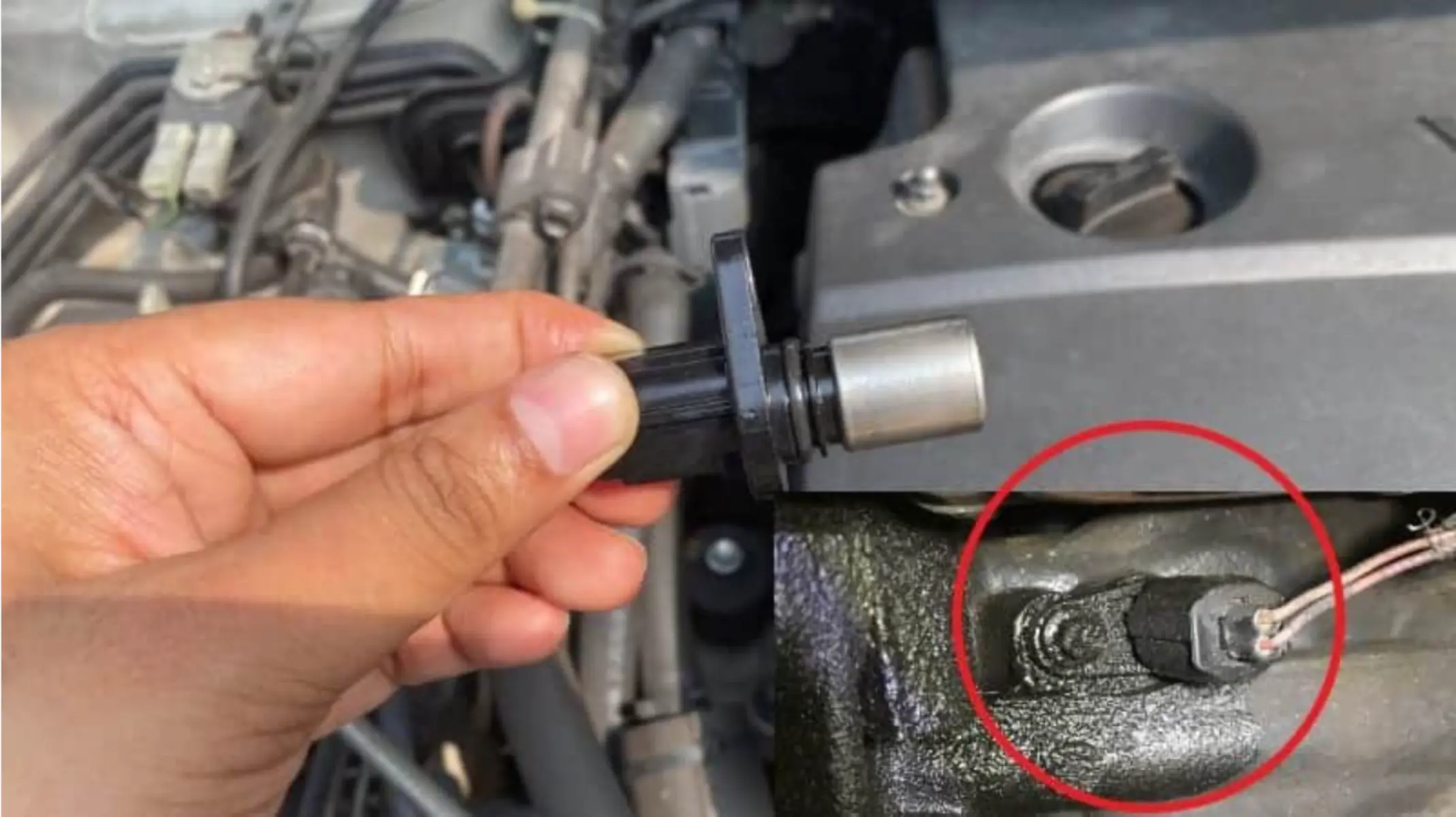 Crankshaft Position Sensor