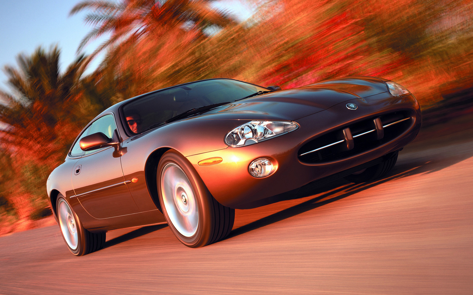 Jaguar XK8 Coupe