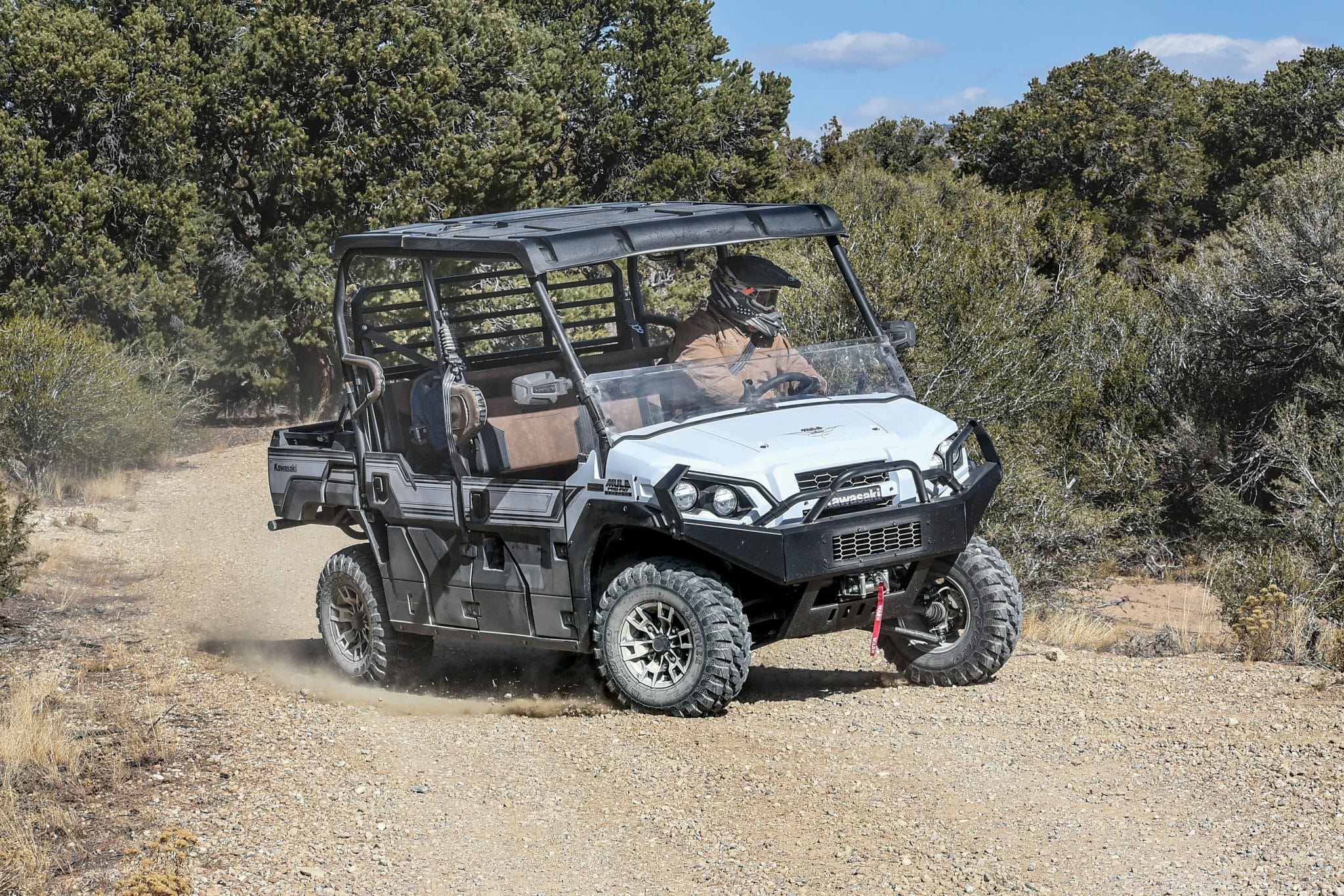 Kawasaki Mule Pro FXT