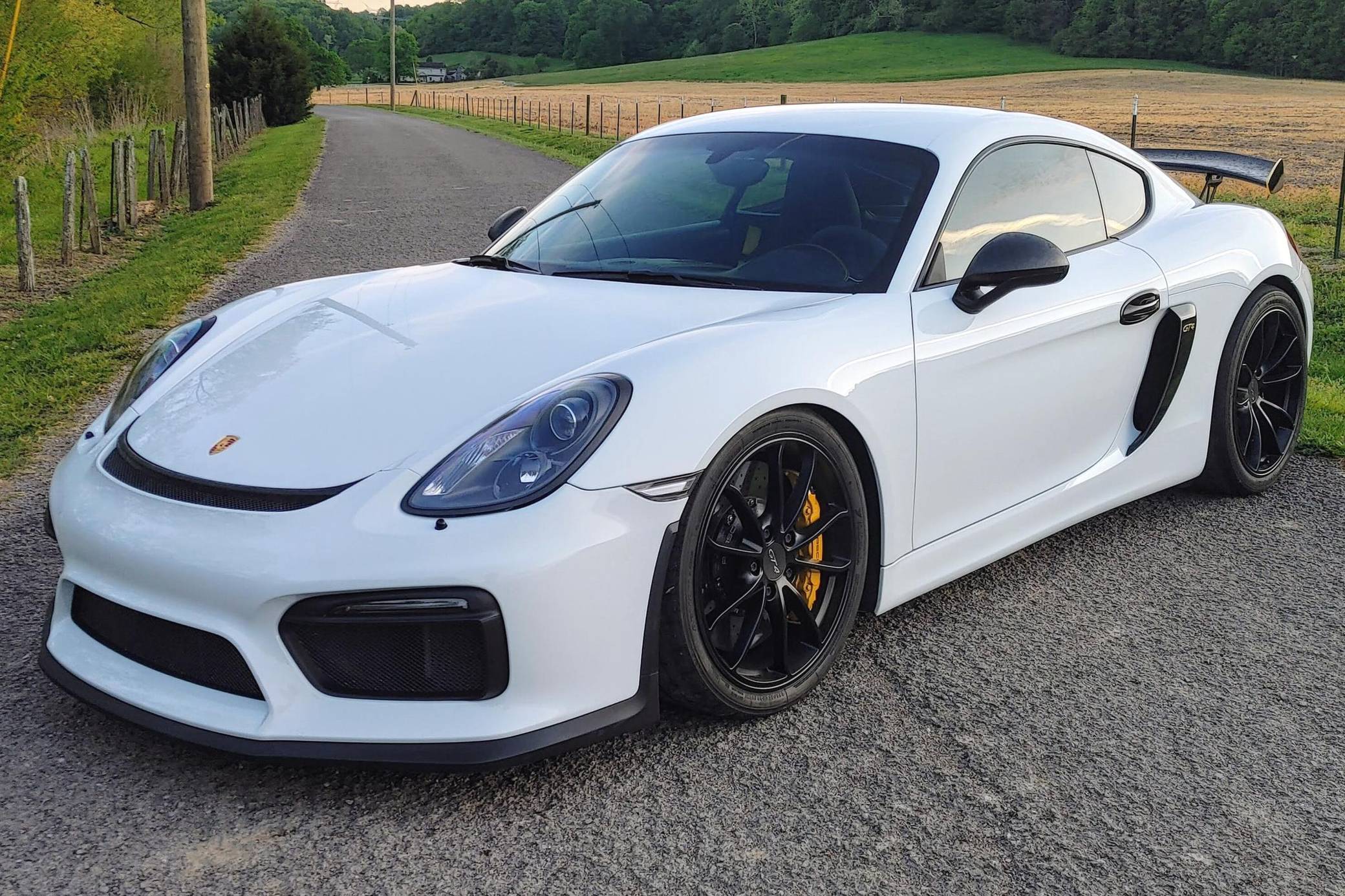 Porsche Cayman GT4 981