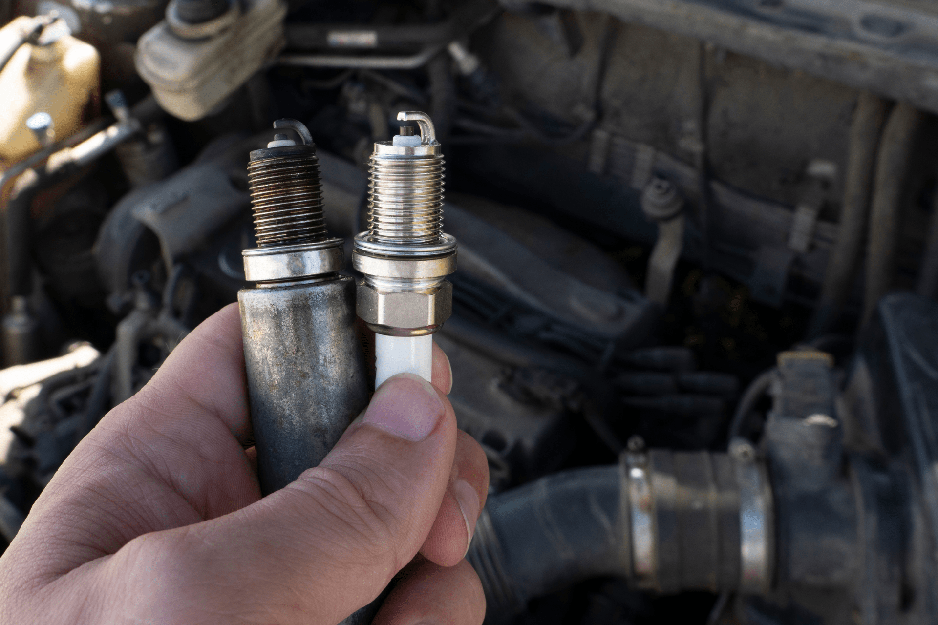 Spark Plugs