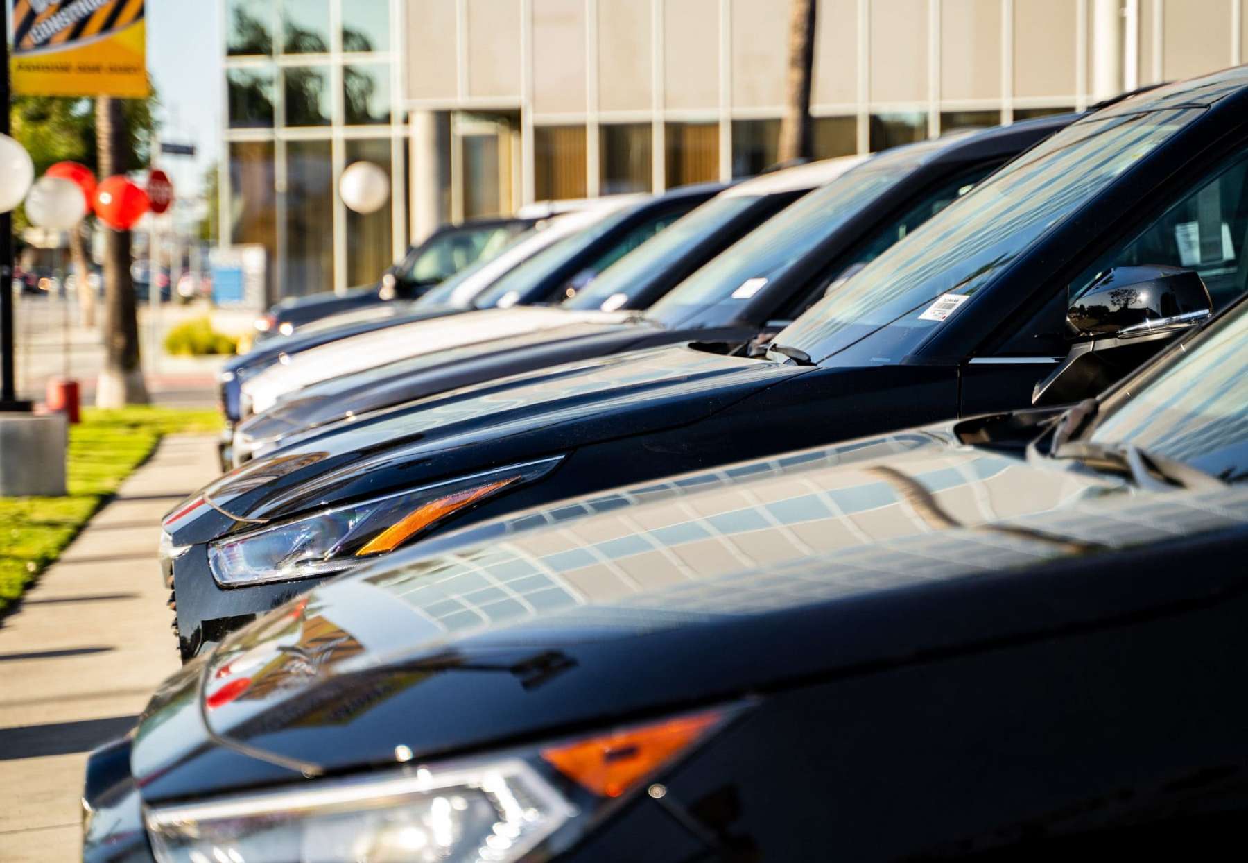 Car dealership lot with multiple vehicles