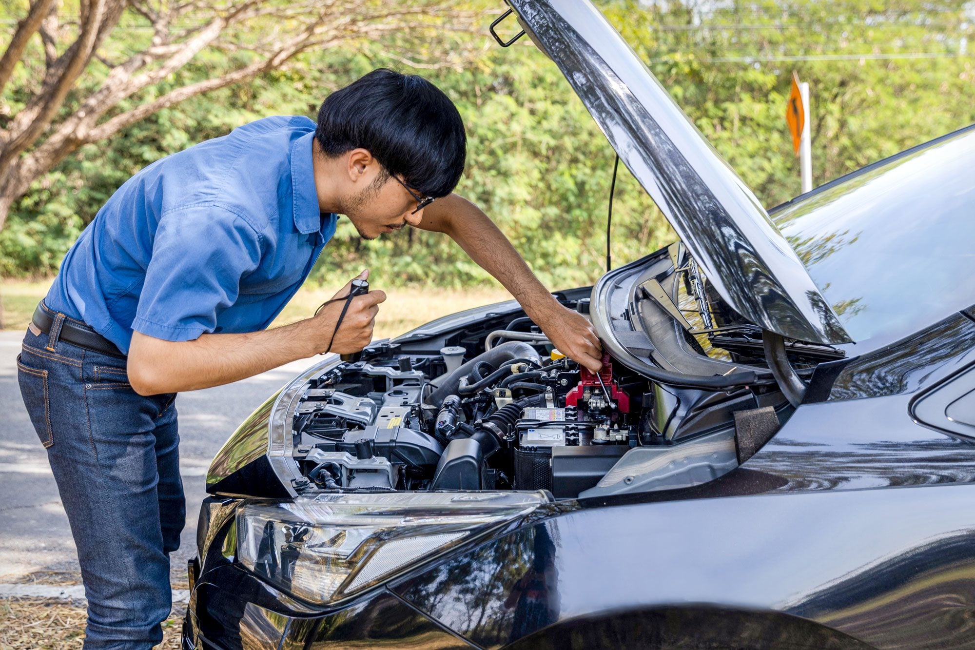 Inspecting a vehicle's engine and battery system