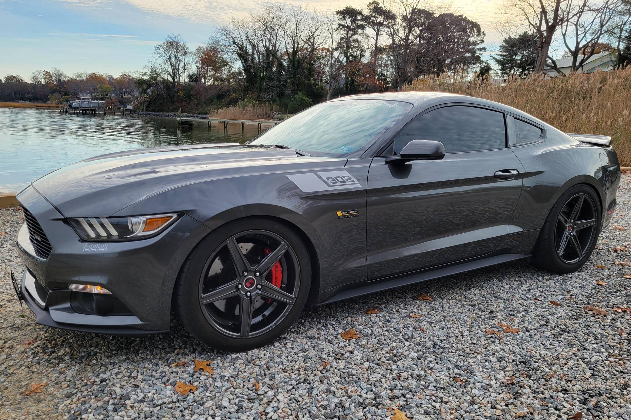 Saleen S302 Black Label Mustang