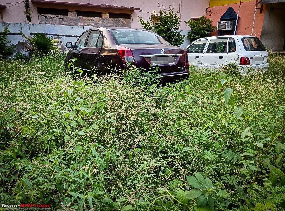 The Car May Have Been Sitting Idle for Years