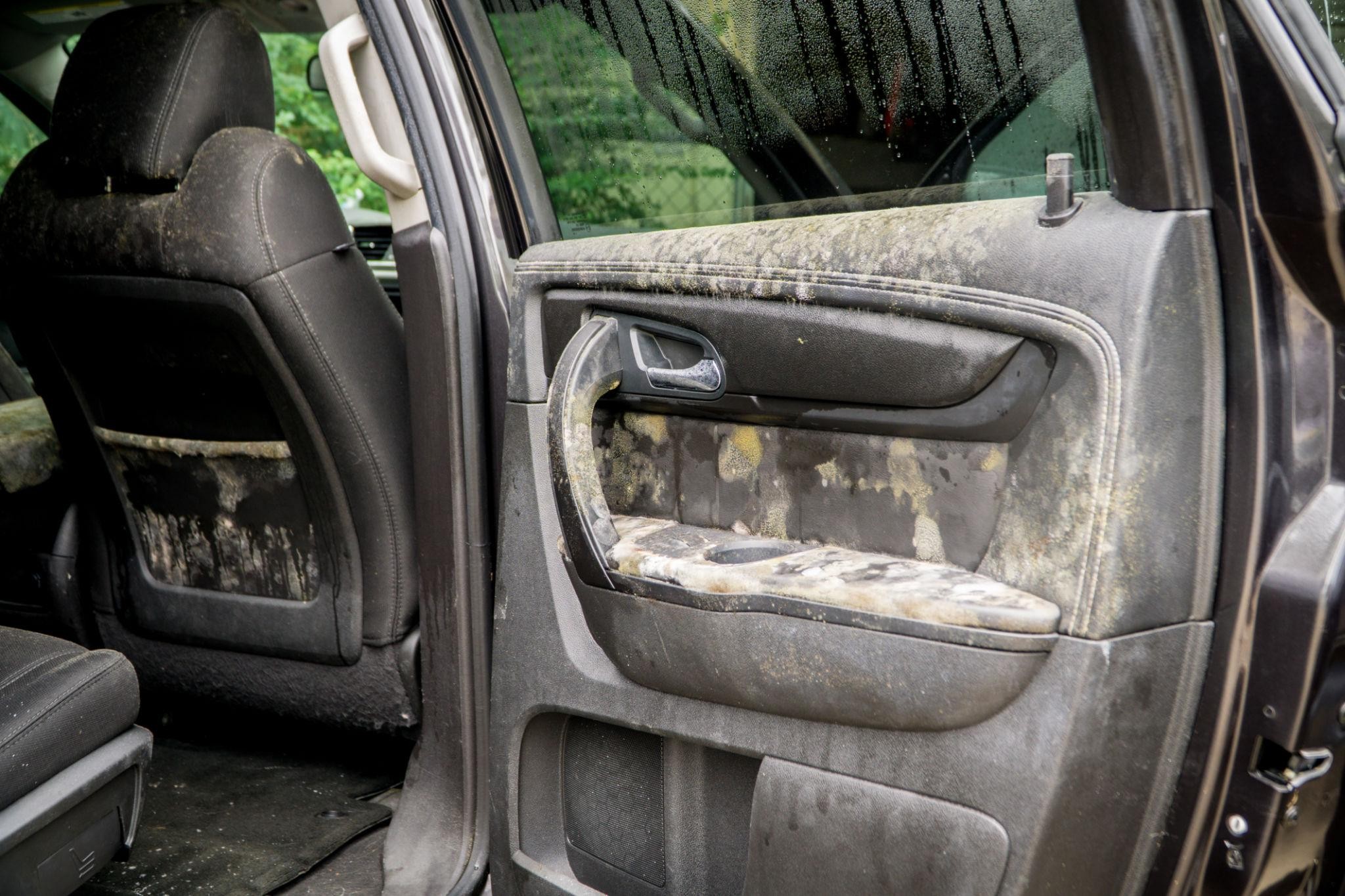 The Vehicle May Have a Flood or Water Damage History