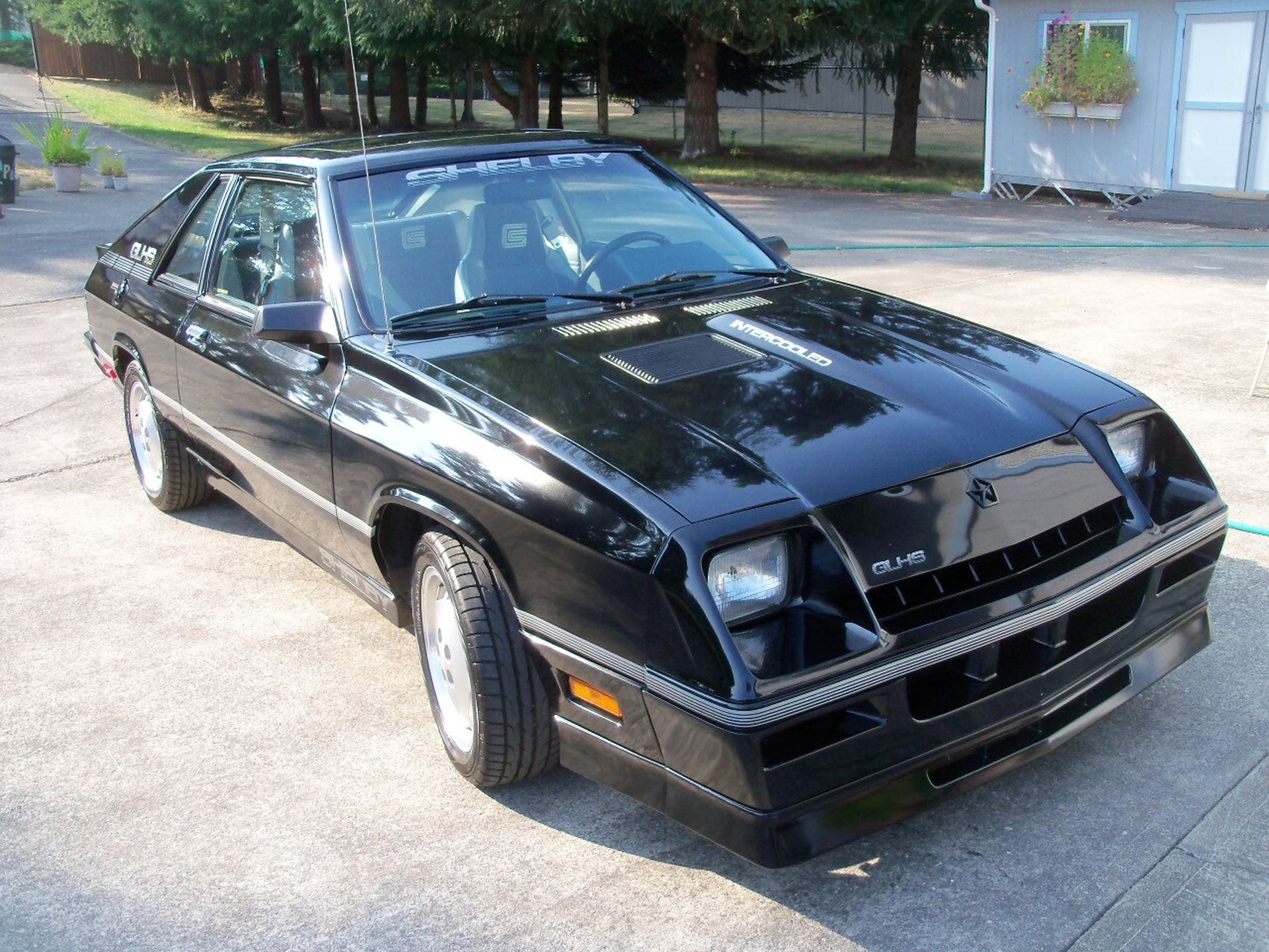 1987 Shelby Charger GLHS