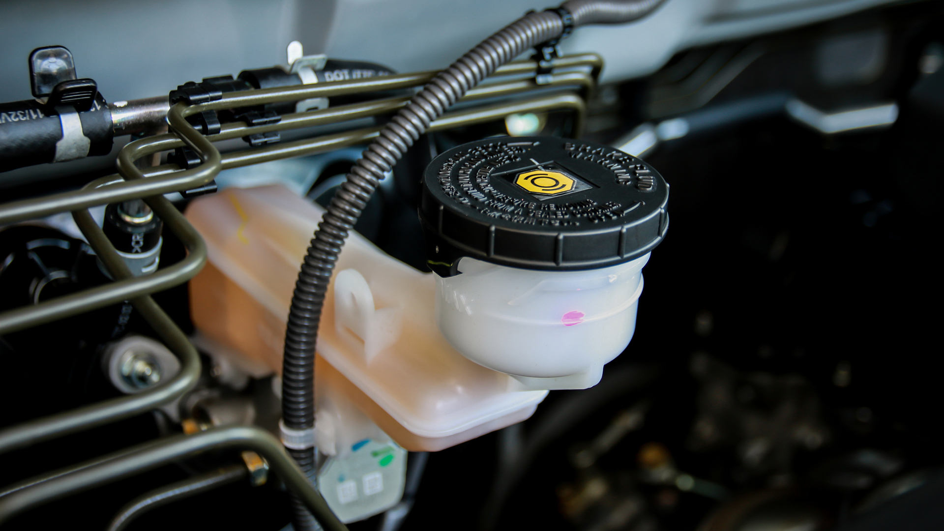 Brake System Service and Hydraulic Fluid Replacement