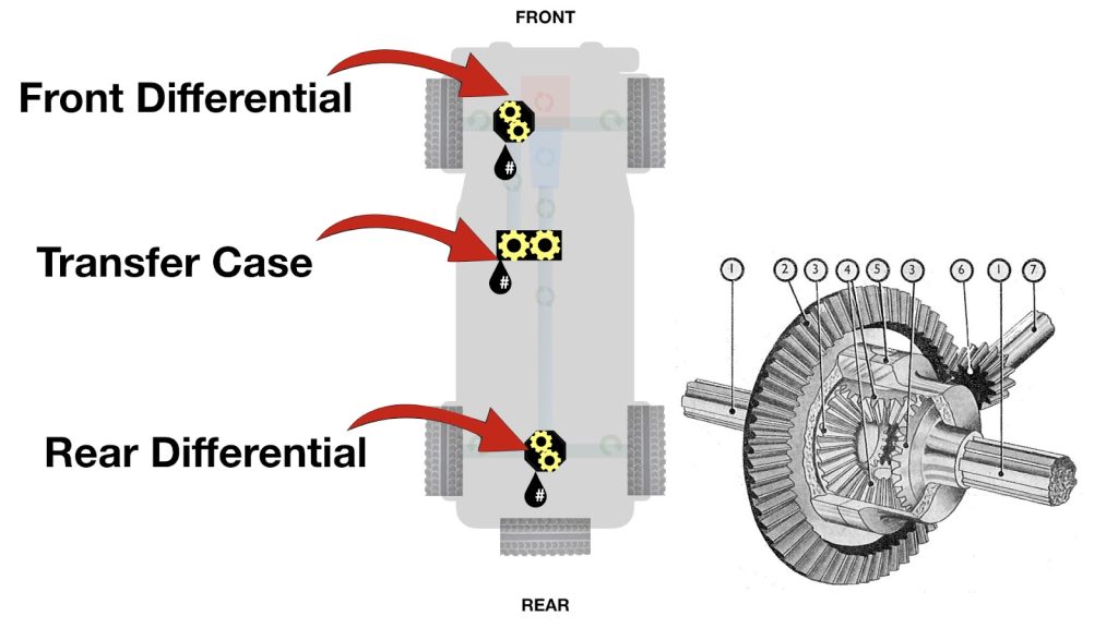 Differential, Transfer Case, and Driveline Service Differential, Transfer Case, and Driveline Service