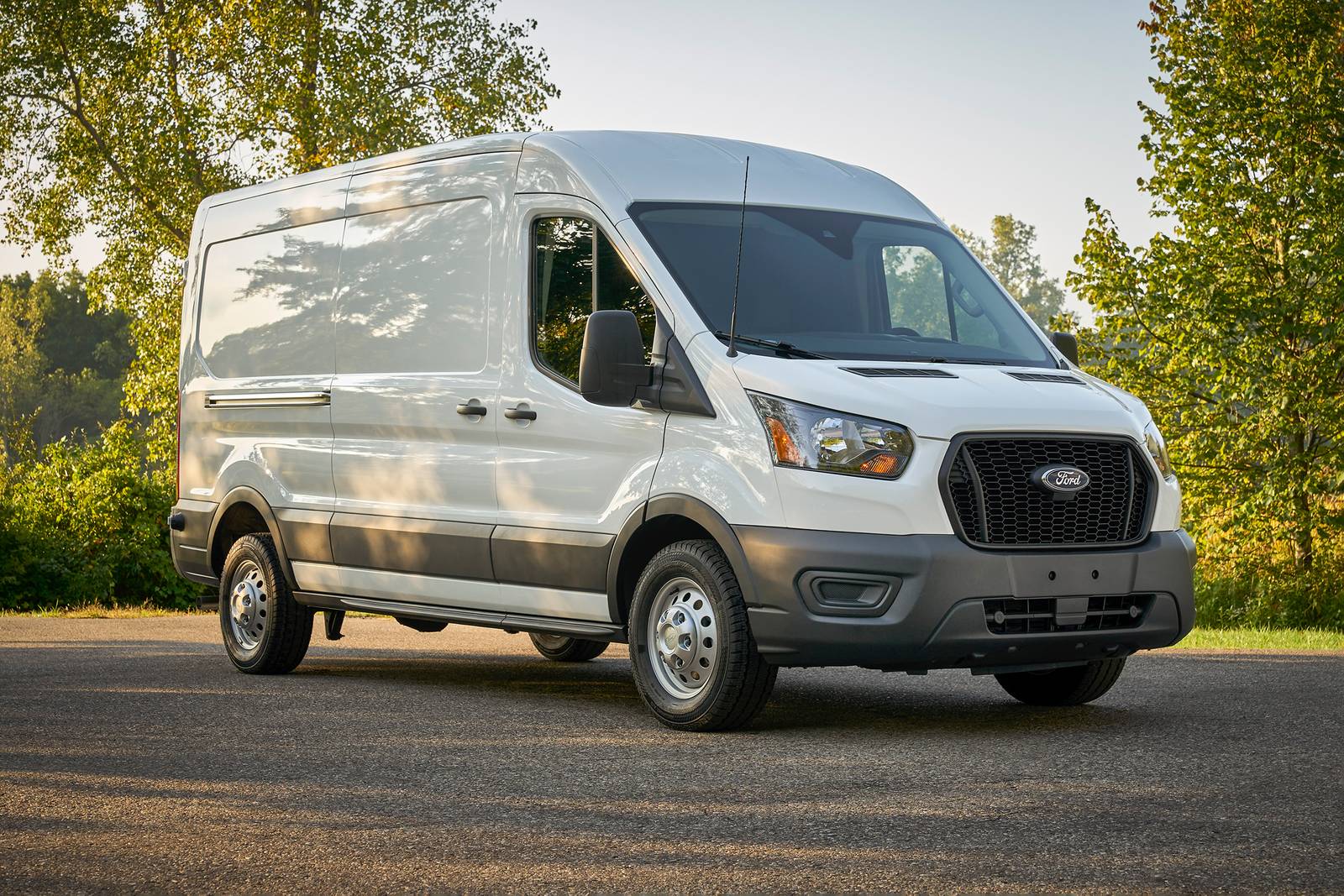Ford Transit Cargo Van