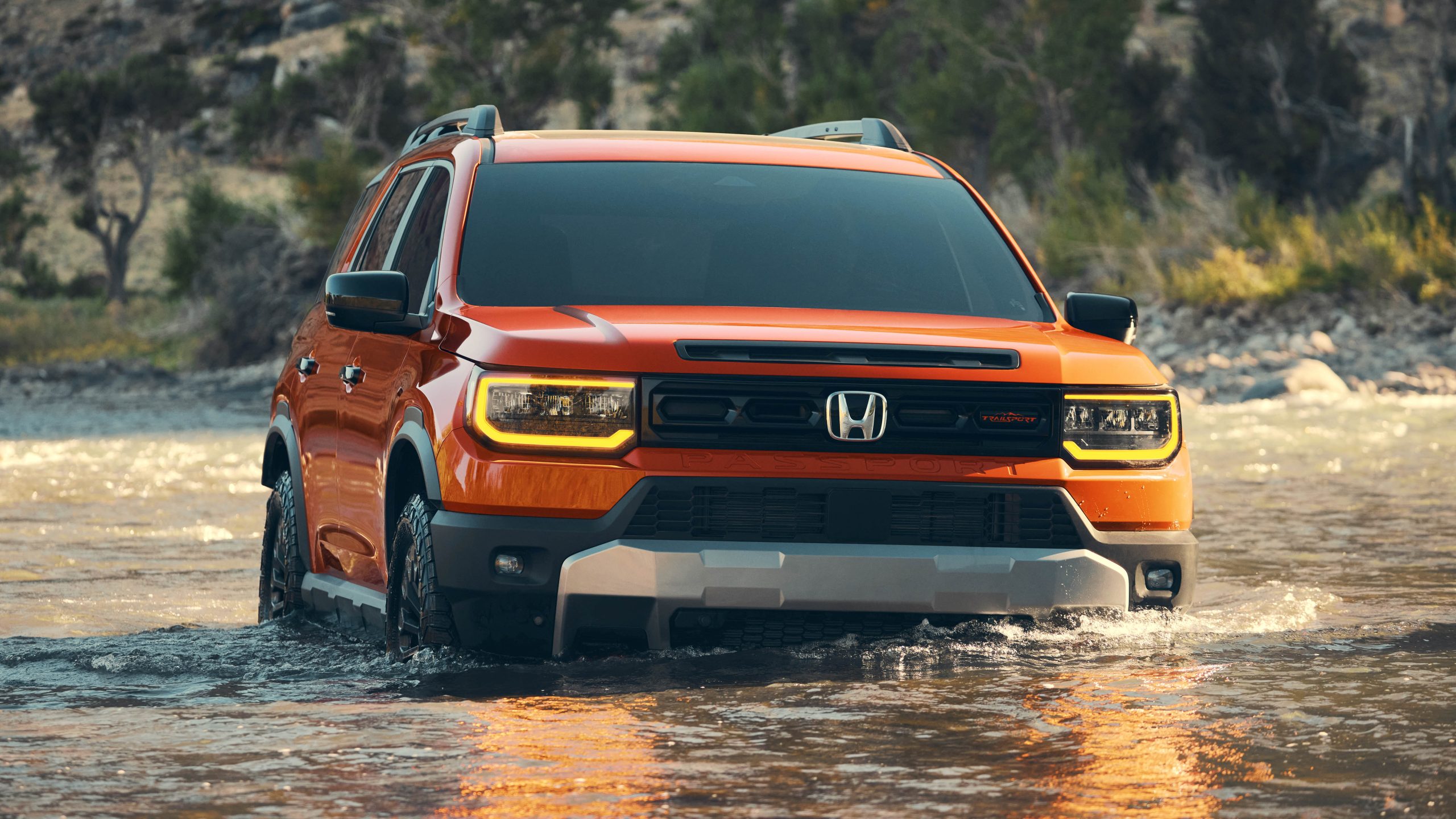 Honda Passport Honda Passport