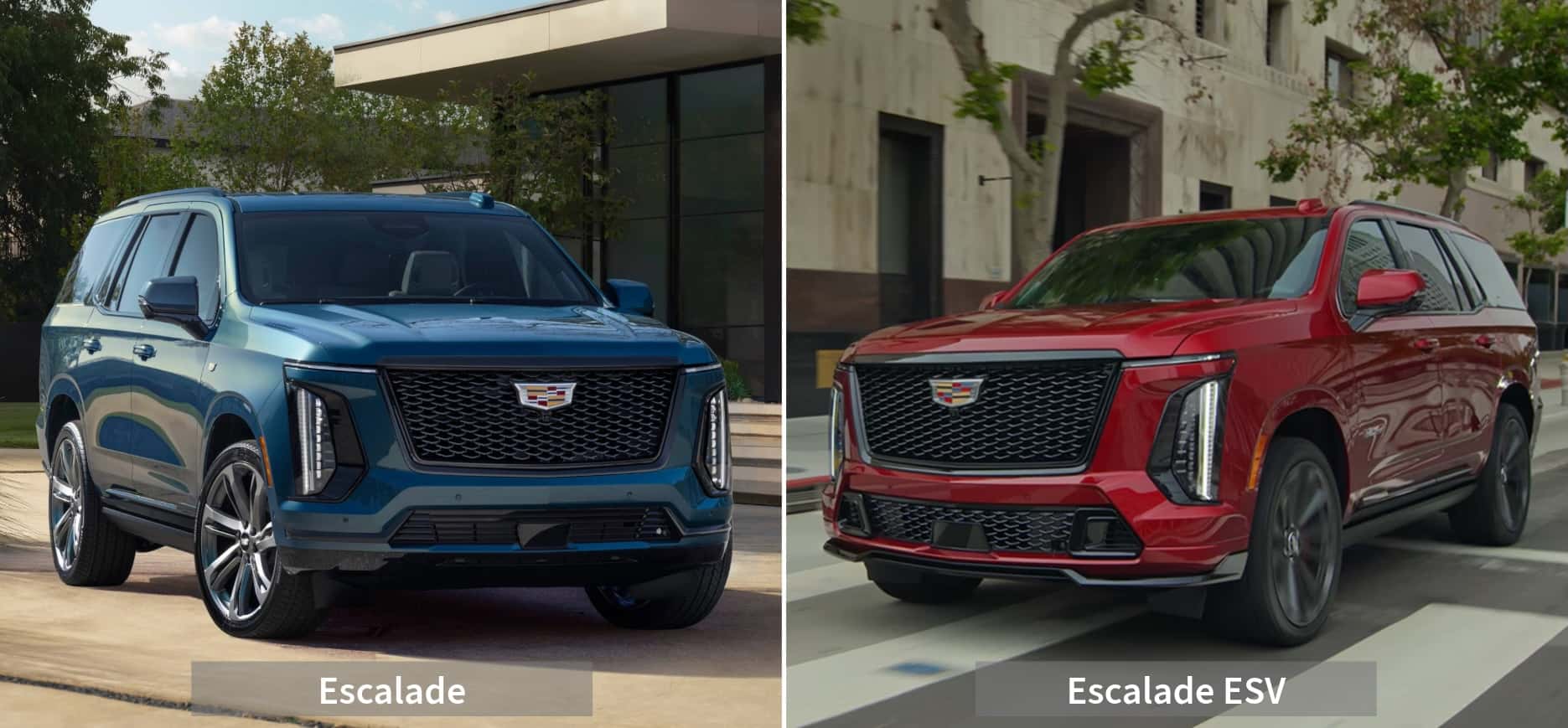 Cadillac Escalade and Escalade ESV