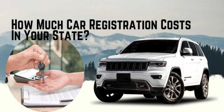 Car Registration Costs