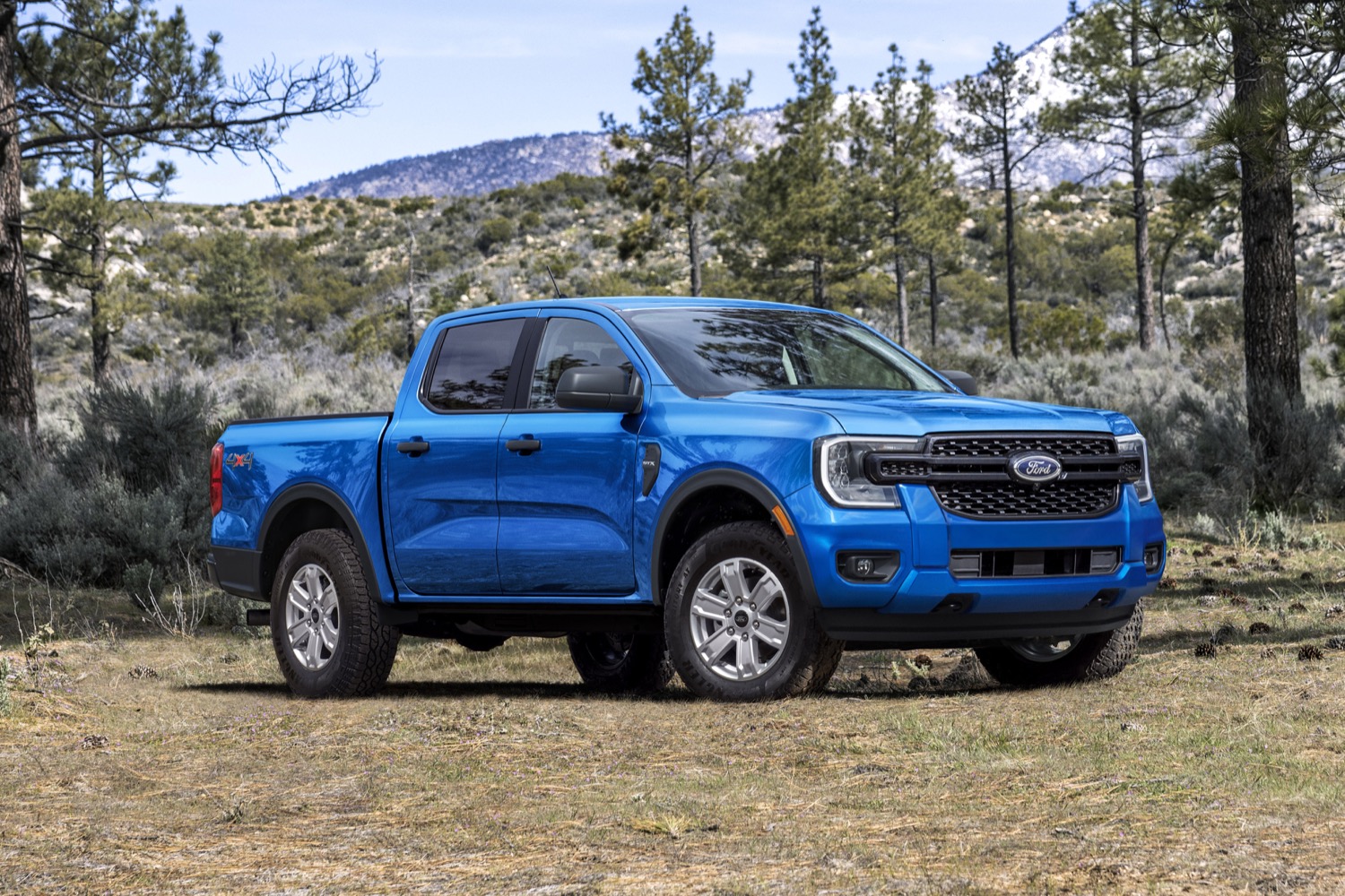 Ford Ranger XL