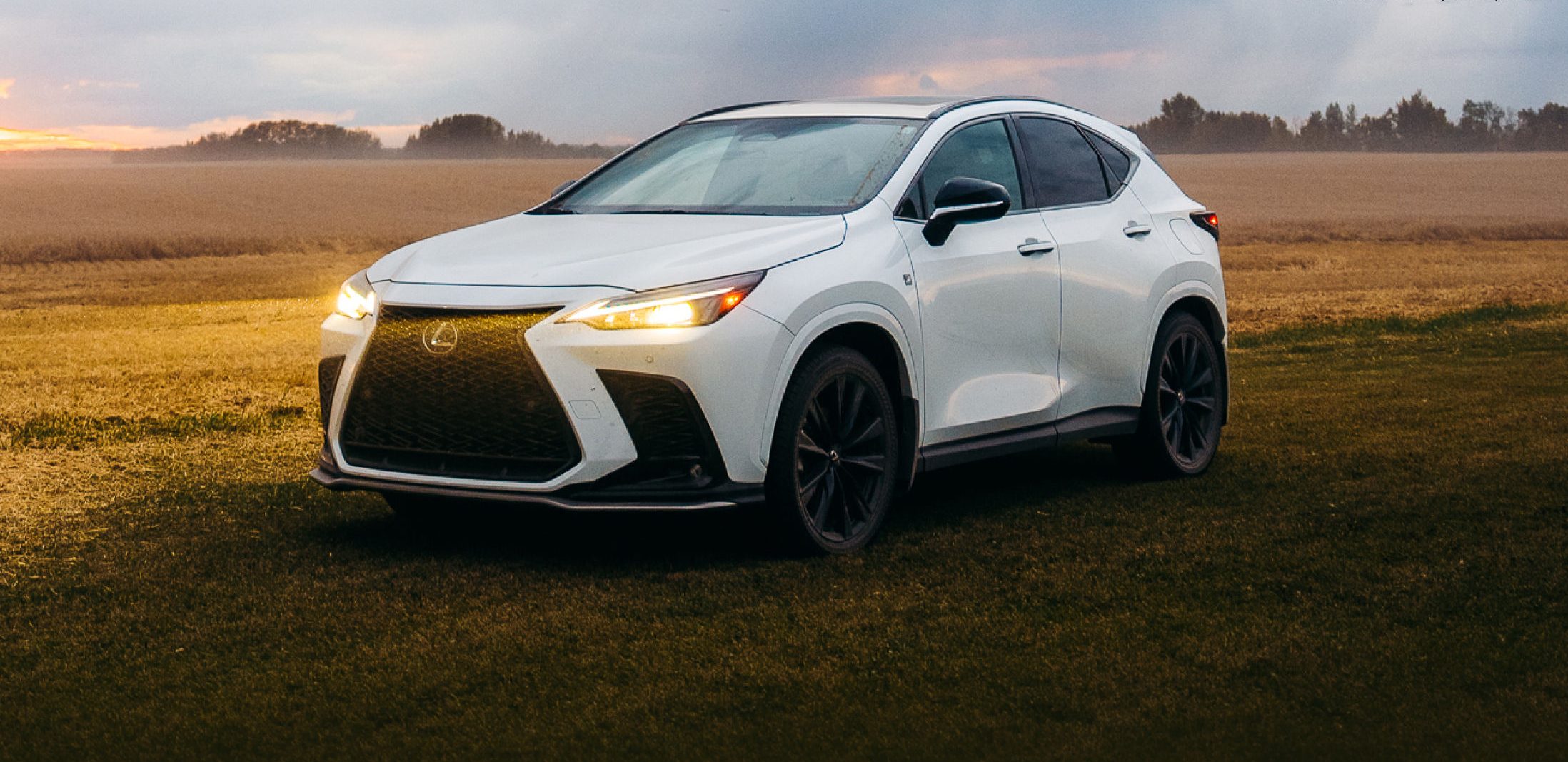 Lexus NX 350h