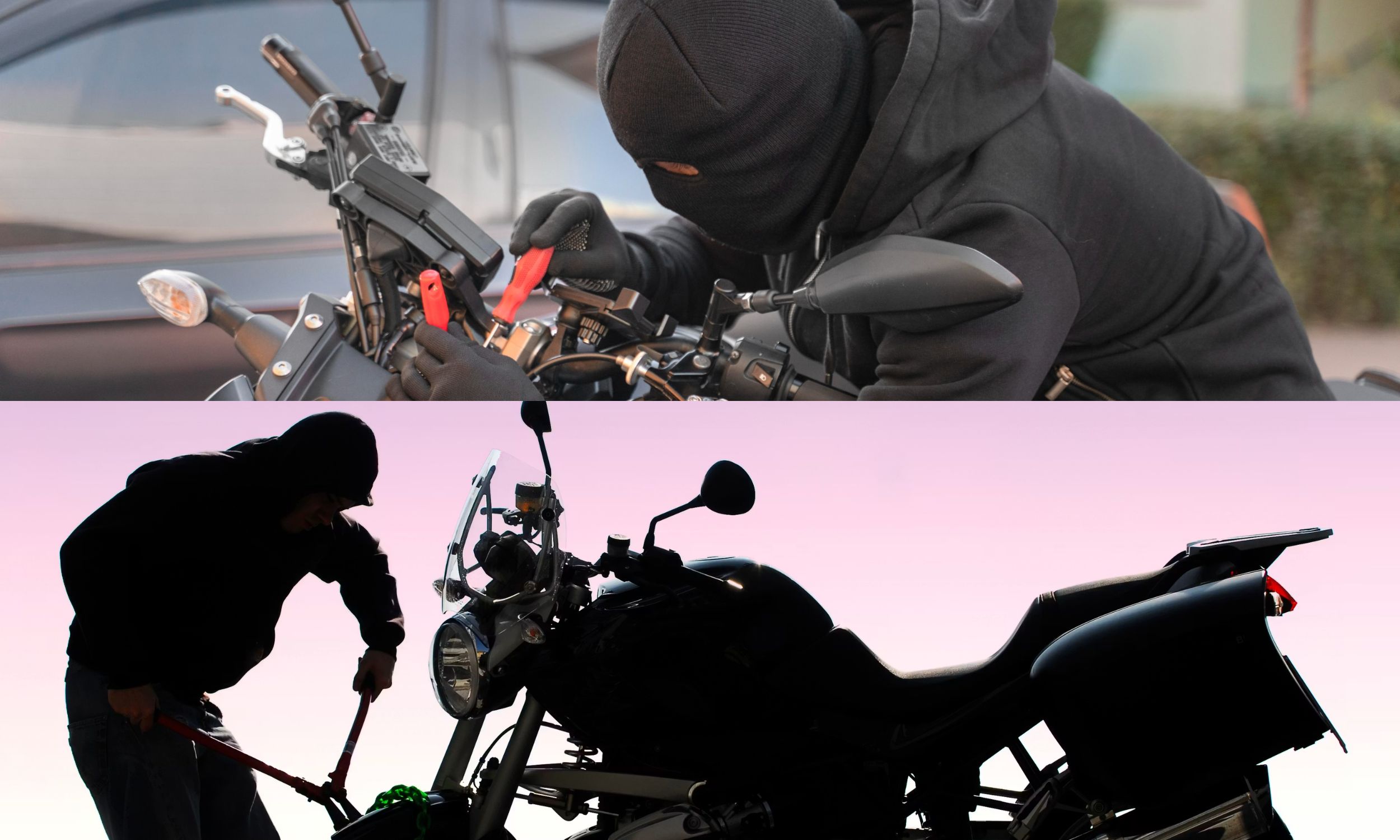 Motorcycle theft