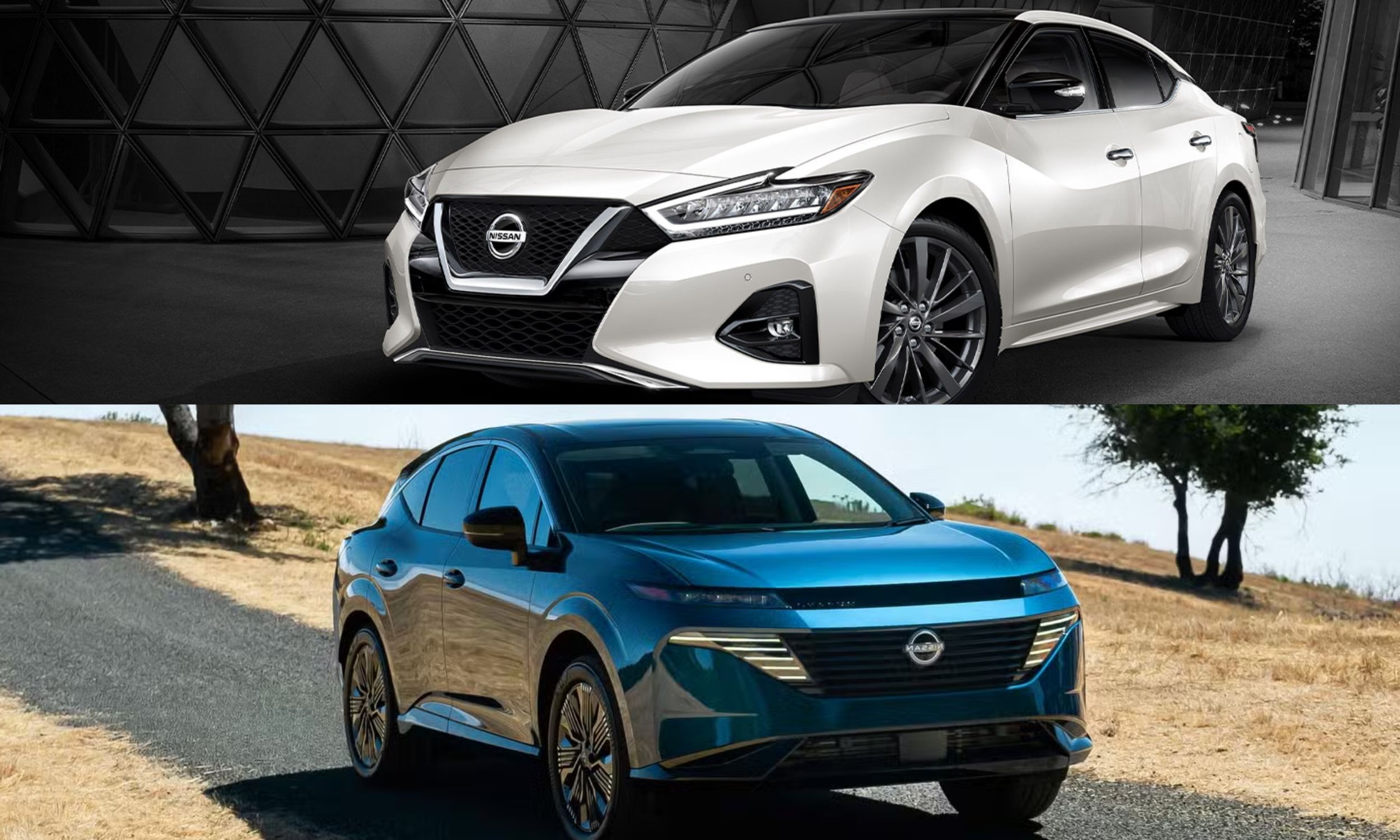 Nissan Maxima and Nissan Murano