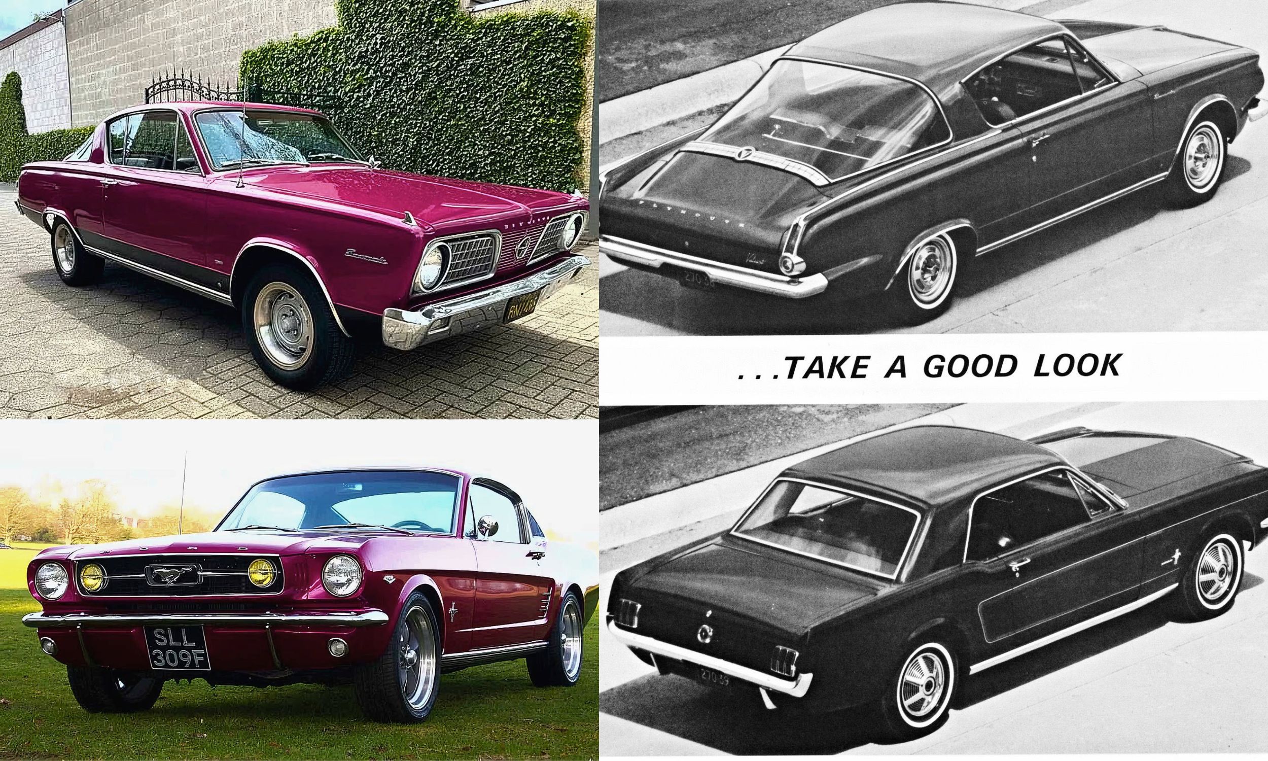 Plymouth Barracuda and Ford Mustang Plymouth Barracuda and Ford Mustang