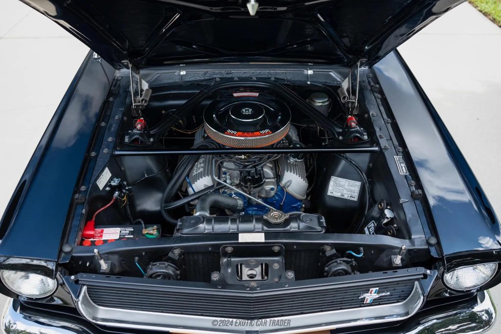 Race Damage, Rumors, and Reality