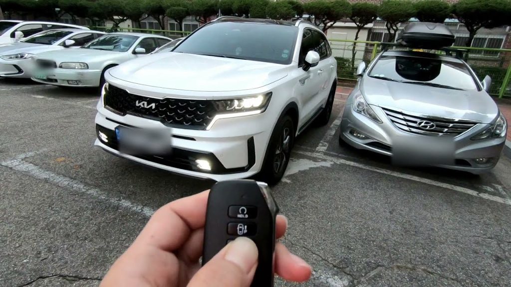 Remote Smart Parking Assist