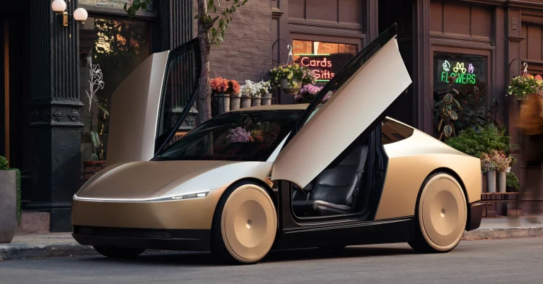 Tesla Robotaxi