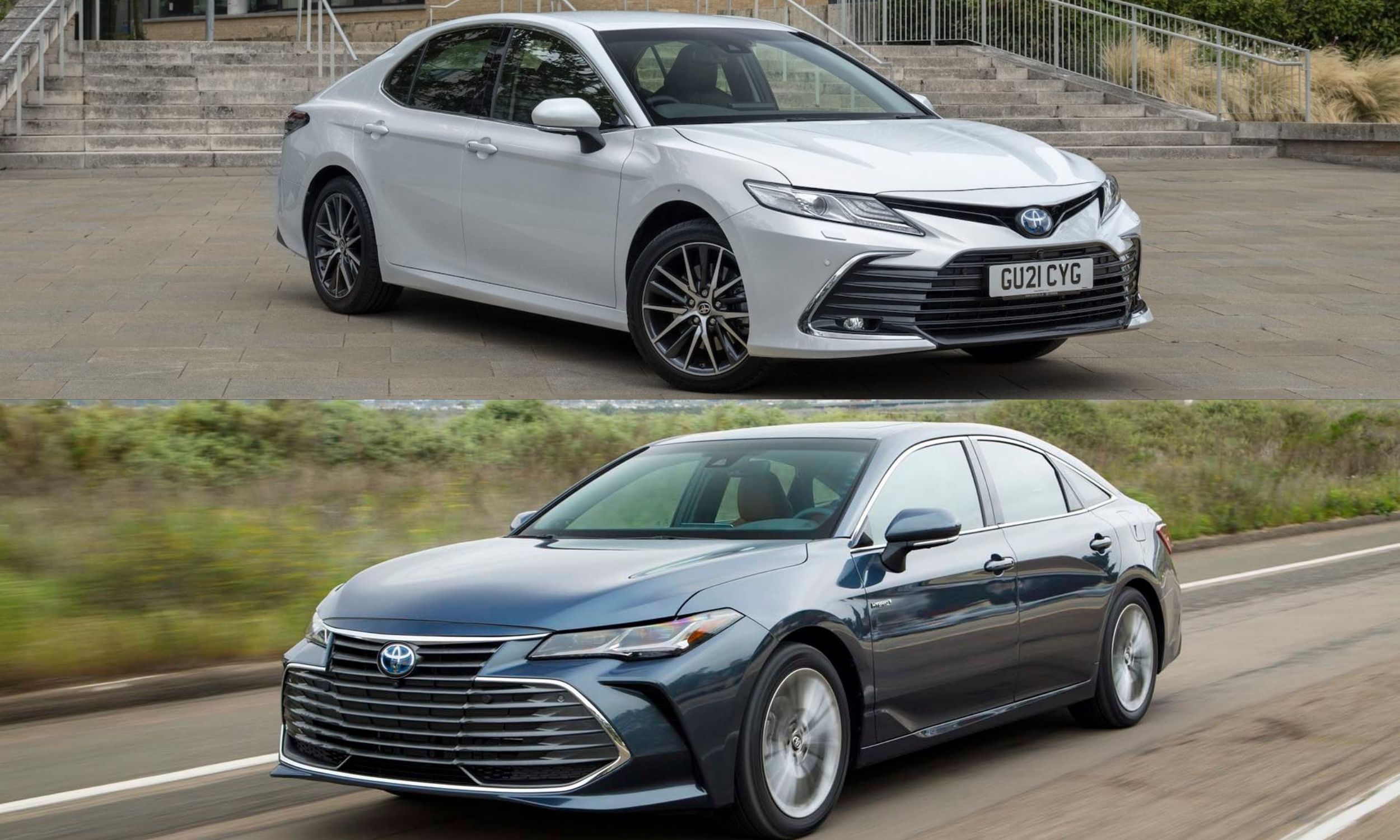 Toyota Camry and Toyota Avalon