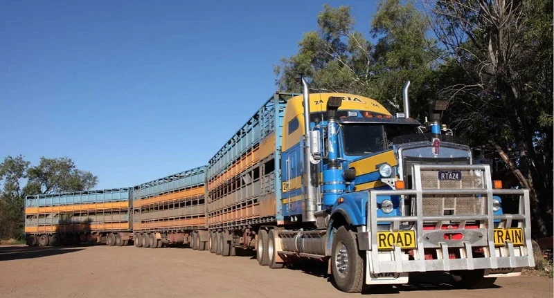 Western Star 6900 Road Train