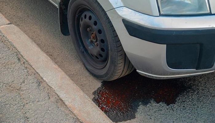 Yellow Brown or Clear Brake Fluid Yellow Brown or Clear Brake Fluid