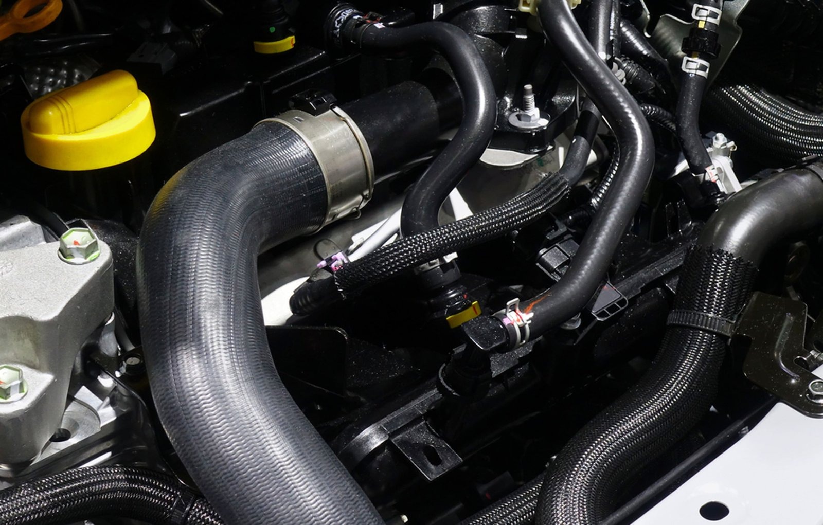 Automotive radiator hoses connected to the engine bay