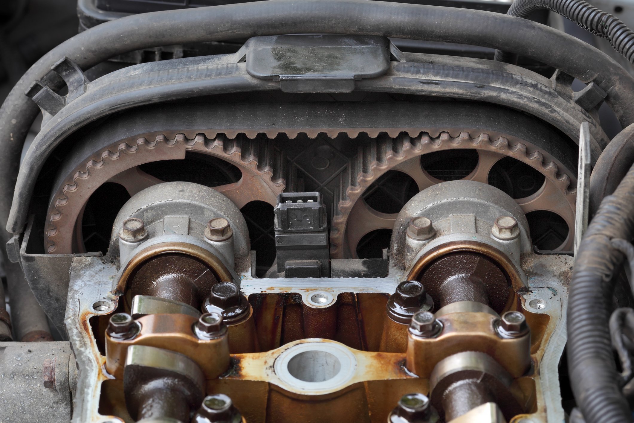 Camshaft Seals