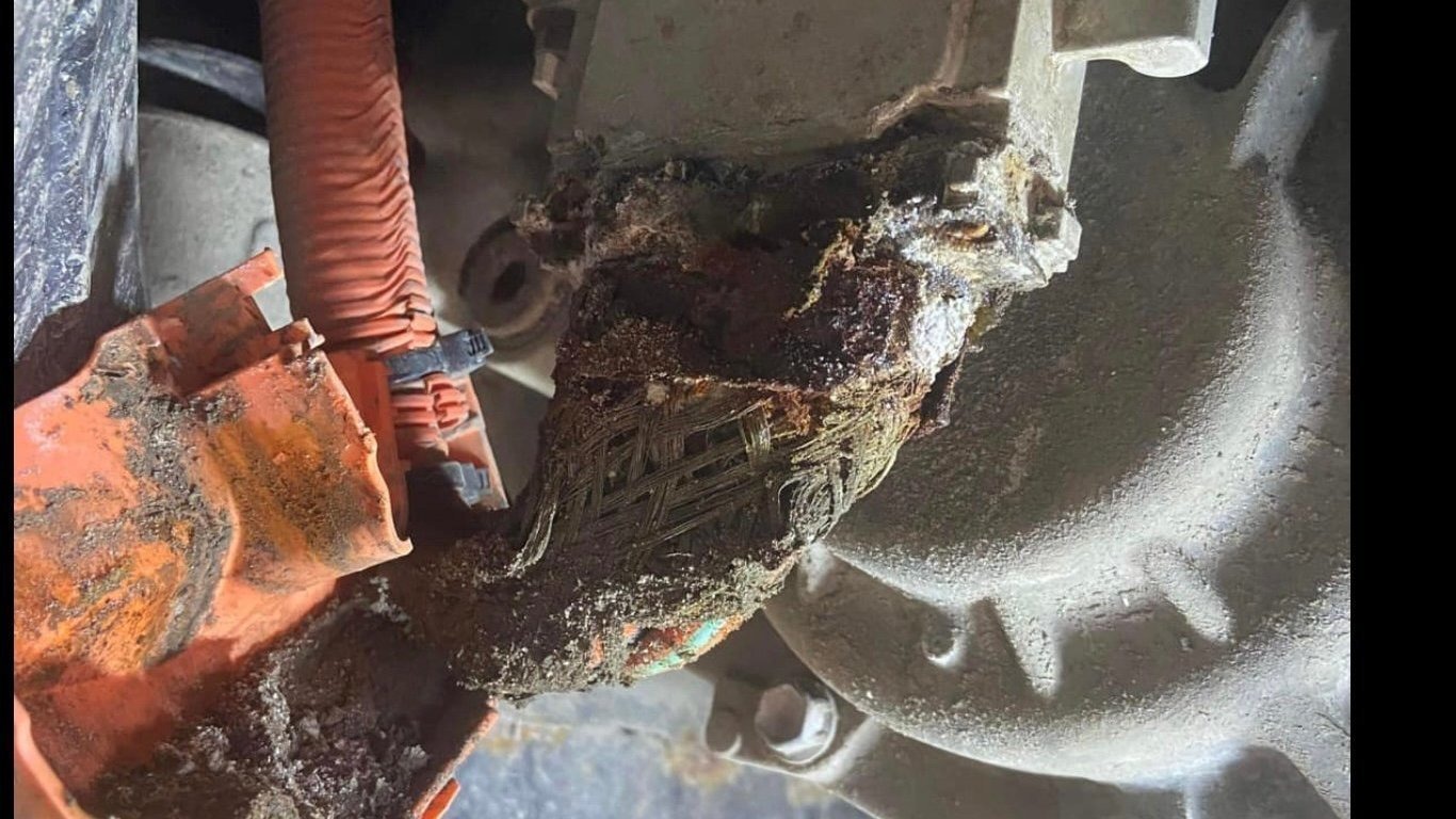 Corroded electrical cable