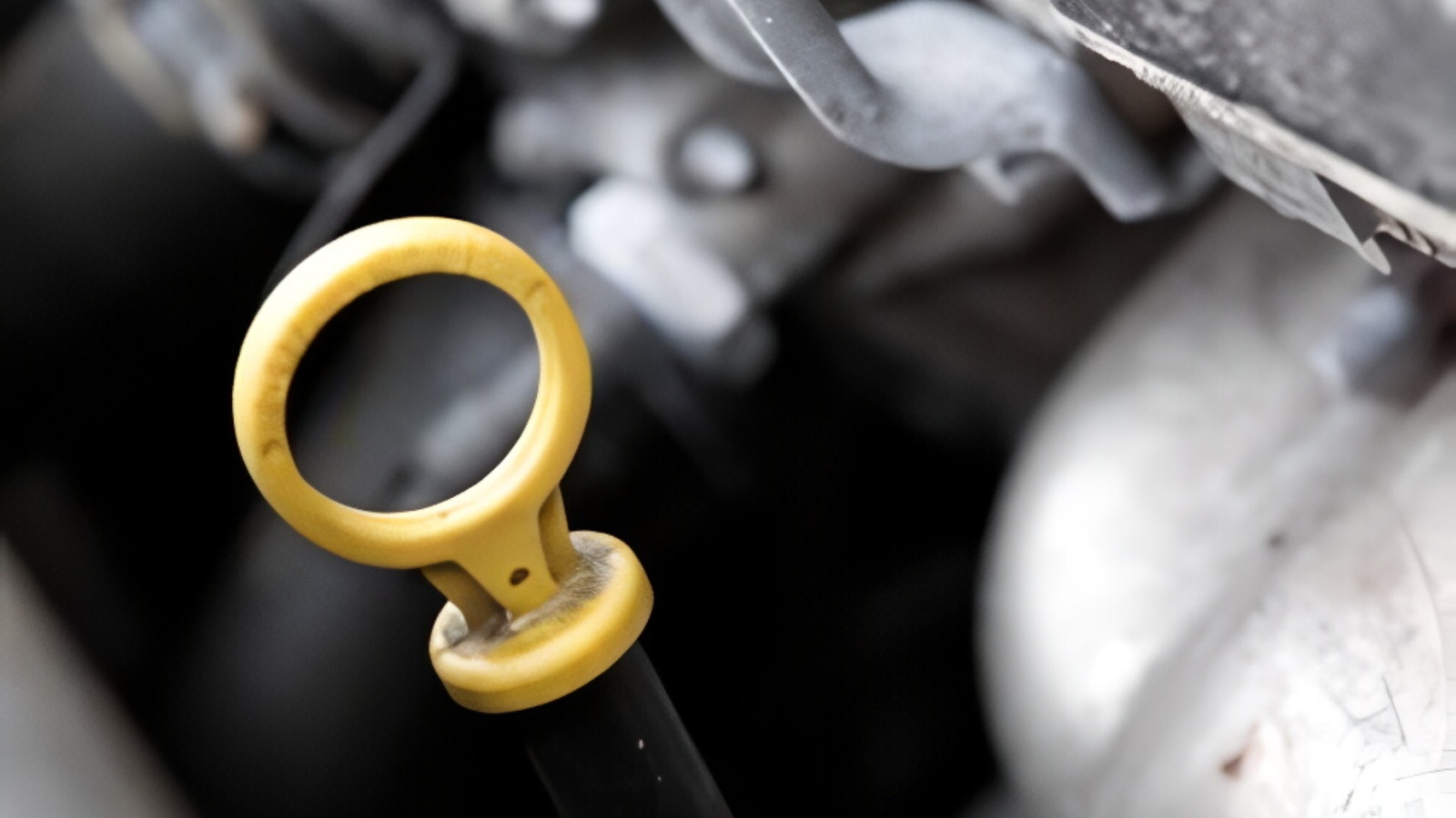 Engine Oil Flushes