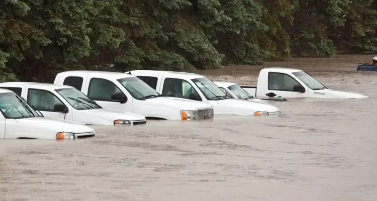 Flood-Damaged Vehicles With Salvage Titles