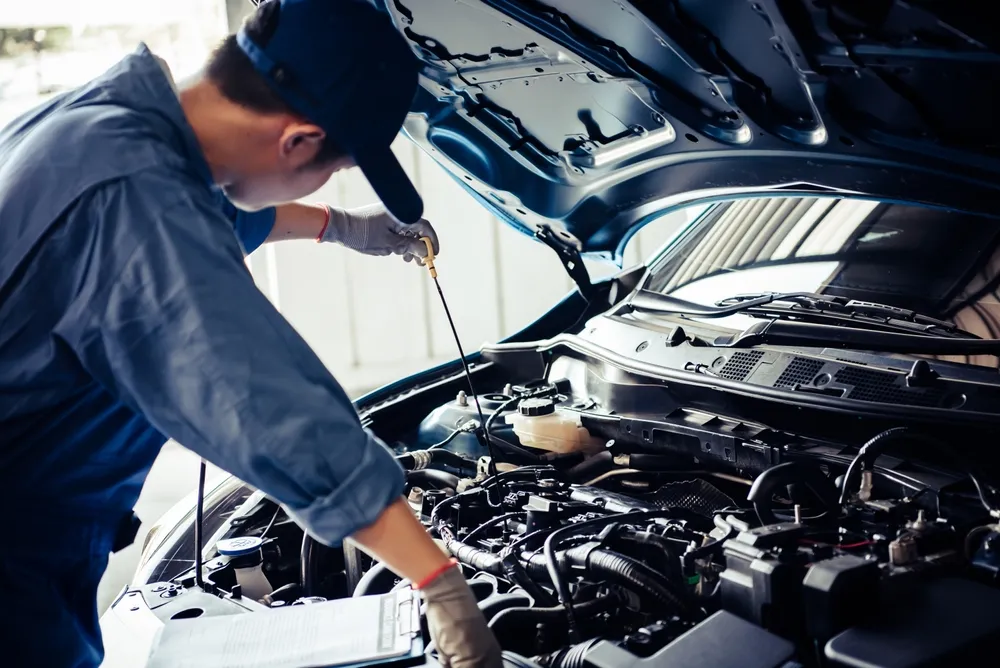 Maintenance