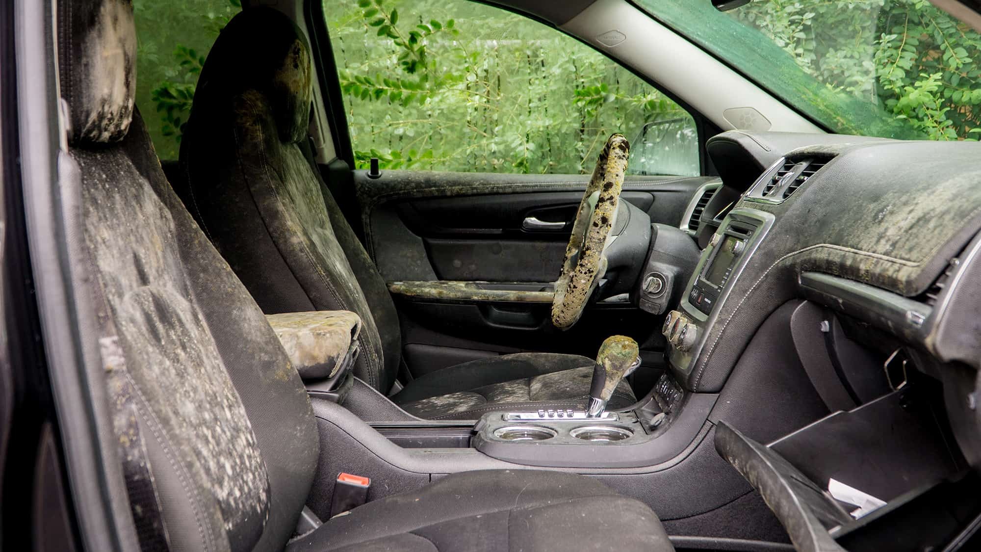 Musty Car
