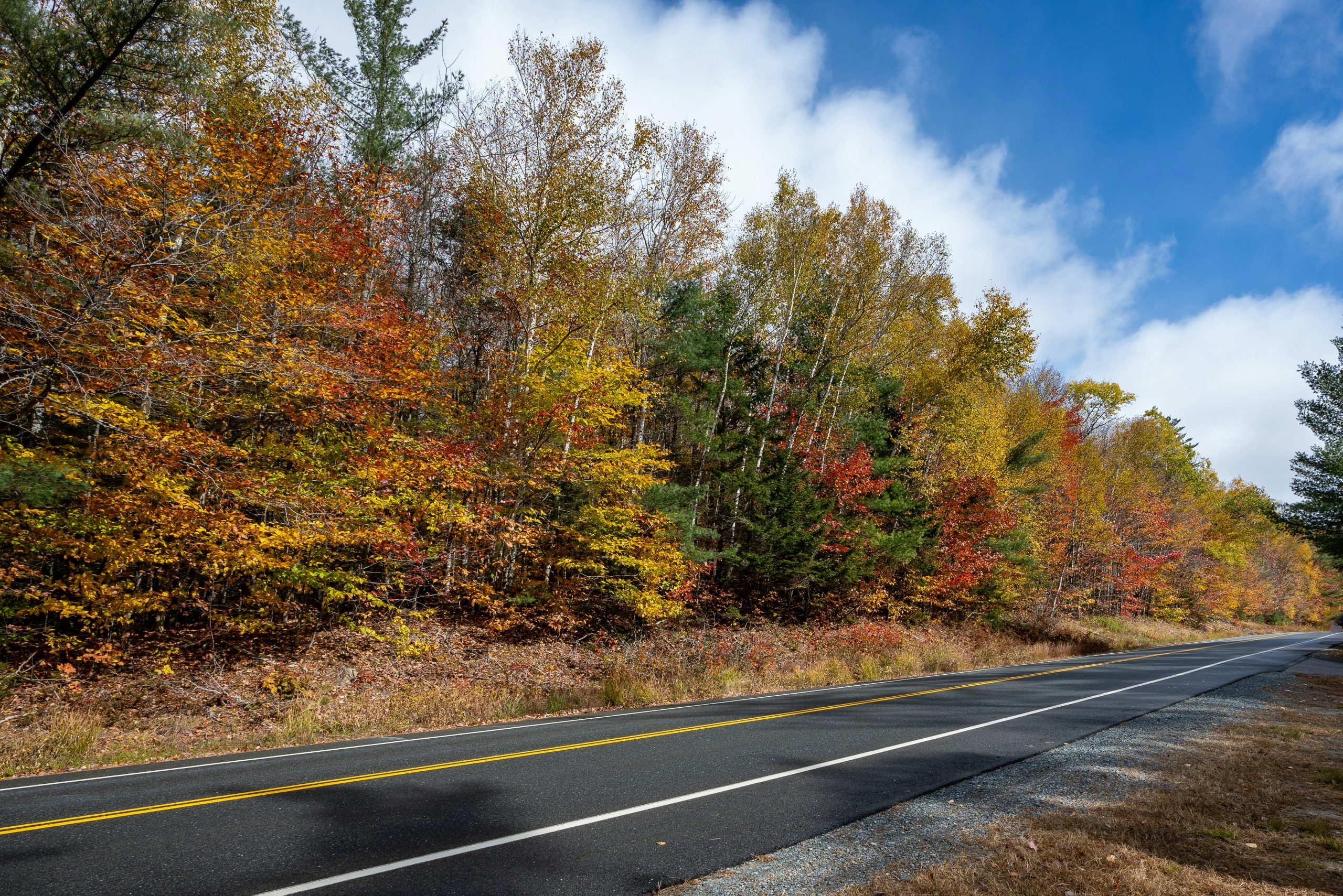 New Hampshire