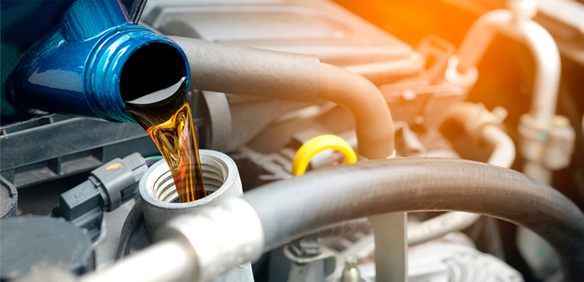 Oil-Change and Scheduled-Maintenance Receipts