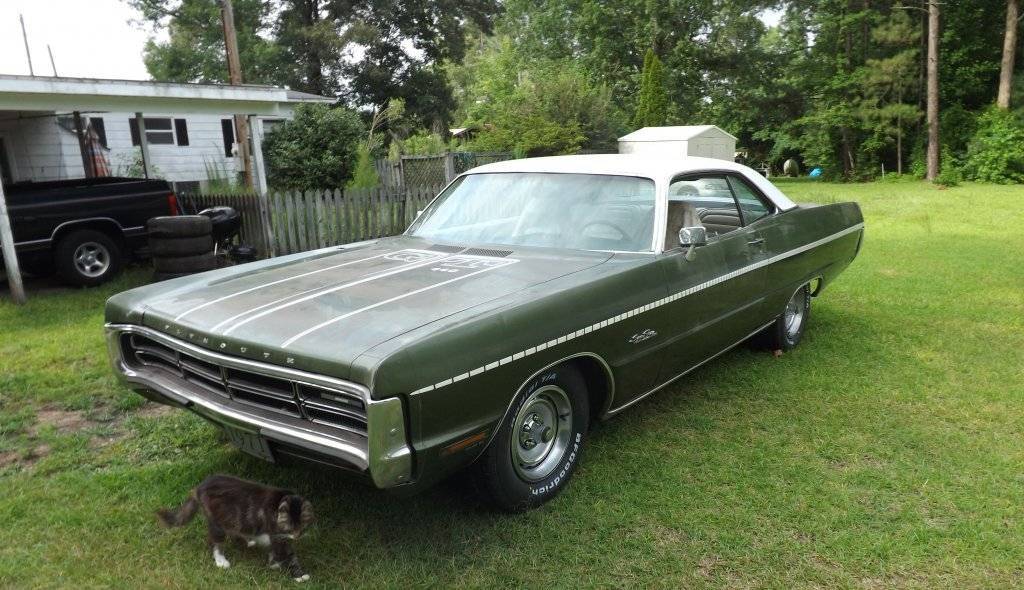A Plymouth Sport is standing on lush green grass